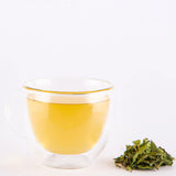 Tea Melange Green Exotica Premium Green Tea with Minty and Gingery Notes for Rejuvenation and Natural Upliftment - Tea Bags