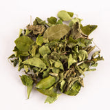 Tea Melange Green Exotica Premium Green Tea with Minty and Gingery Notes for Rejuvenation and Natural Upliftment - Tea Bags