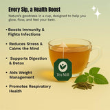 Tea Mill Tulsi Green Tea Benefits