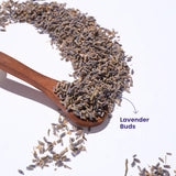 Tea Trunk Lavender Buds — Tranquil Infusion to Soothe and Restore Sleep