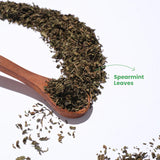 Tea Trunk Spearmint Leaves — Fresh Herbal Infusion for Balance and Glow