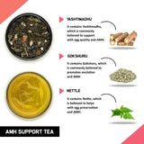 Teacurry AMH Support Herbal Infusion with Shatavari, Amalaki & Brahmi - Traditional Ayurvedic Blend for Women’s Wellness - Pyramid Bags