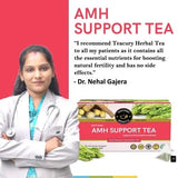 Teacurry AMH Support Herbal Infusion with Shatavari, Amalaki & Brahmi - Traditional Ayurvedic Blend for Women’s Wellness - Pyramid Bags