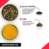 Teacurry Ayush Kadha Infusion with Tulsi & Ginger - Warming Ayurvedic Blend for Everyday Immunity and Digestion - Pyramid Bags