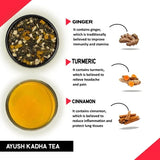 Teacurry Ayush Kadha Infusion with Tulsi & Ginger - Warming Ayurvedic Blend for Everyday Immunity and Digestion - Pyramid Bags