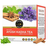 Teacurry Ayush Kadha Infusion with Tulsi & Ginger - Warming Ayurvedic Blend for Everyday Immunity and Digestion - Pyramid Bags
