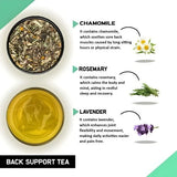 Teacurry Back Support Herbal Infusion with Ginger, Turmeric & Chamomile - Warming Blend for Joint, Muscle & Back Comfort - Pyramid Bags