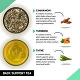 Teacurry Back Support Herbal Infusion with Ginger, Turmeric & Chamomile - Warming Blend for Joint, Muscle & Back Comfort - Pyramid Bags
