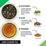 Teacurry Breathe Easy Herbal Infusion with Licorice, Ginger & Tulsi for Respiratory Comfort - Pyramid Bags