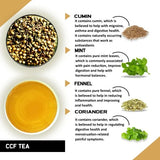 Teacurry CCF Infusion - Cumin, Coriander & Fennel for Digestive Comfort - Pyramid Bags