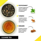 Teacurry Cleanse Herbal Infusion with Ginger, Turmeric & Peppermint for Liver and Digestive Support - Pyramid Bags