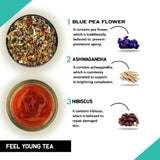 Teacurry Feel Young Herbal Infusion with Butterfly Pea, Moringa, & Hibiscus for a Fresh, Radiant Daily Ritual - Pyramid Bags