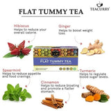 Teacurry Flat Tummy Green Tea - Minty Blend of Hibiscus & Ayurvedic Herbs for Digestive Wellness - Pyramid Tea Bags