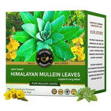 Teacurry Himalayan Mullein Infusion for Respiratory Wellness - Pyramid Bags