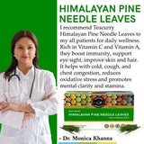 Teacurry Himalayan Pine Needle Infusion for Immunity, Skin & Natural Wellness - Pyramid Bags