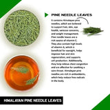 Teacurry Himalayan Pine Needle Infusion for Immunity, Skin & Natural Wellness - Pyramid Bags