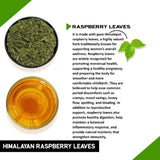 Teacurry Himalayan Raspberry Leaf Infusion for Women's Wellness - Fruity, Earthy & Naturally Caffeine-Free - Pyramid Bags