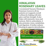 Teacurry Himalayan Rosemary Infusion for Brain, Immunity & Digestive Wellness - Pyramid Bags