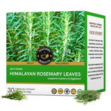 Teacurry Himalayan Rosemary Infusion for Brain, Immunity & Digestive Wellness - Pyramid Bags