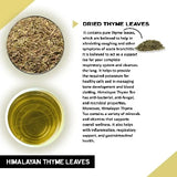 Teacurry Himalayan Thyme Infusion - Sweet, Earthy & Naturally Caffeine-Free - Pyramid Bags