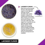 Teacurry Lavender Flower Infusion - Floral, Calming & Caffeine-Free - Pyramid Bags