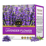 Teacurry Lavender Flower Infusion - Floral, Calming & Caffeine-Free - Pyramid Bags