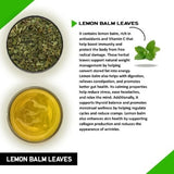 Teacurry Lemon Balm Infusion for Stress Relief & Better Sleep - Pyramid Bags