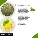 Teacurry Mint Infusion - Naturally Refreshing Blend for Oral Health & Fresh Breath - Pyramid Bags