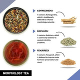 Teacurry Morphology Herbal Infusion with Ashwagandha, Gokshuru & Amalaki - Traditional Men's Wellness Blend - Pyramid Bags