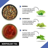 Teacurry Morphology Herbal Infusion with Ashwagandha, Gokshuru & Amalaki - Traditional Men's Wellness Blend - Pyramid Bags