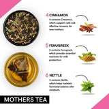 Teacurry Mothers Herbal Infusion with Fenugreek, Fennel & Chamomile - Traditional Blend for Nursing Mothers - Pyramid Bags