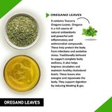 Teacurry Oregano Infusion - Antioxidant Herbal Blend for Digestive Comfort & Everyday Wellness - Pyramid Bags