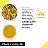 Teacurry Organic Chamomile Infusion - For Better Sleep & Calmer Mood - Pyramid Bags