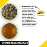 Teacurry Organic Mullein Infusion - Naturally Sweet, Earthy & Caffeine-Free for Respiratory Comfort - Pyramid Bags