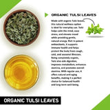 Teacurry Organic Tulsi Infusion for Immunity, Stress Relief & Digestive Wellness - Pyramid Bags