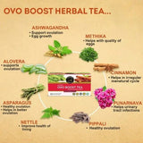 Teacurry Ovo Boost Green Tea - An Ayurvedic Blend of Herbs & Spices for Women's Wellness - Pyramid Tea Bags