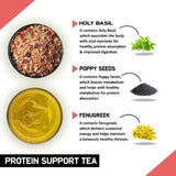 Teacurry Protein Support Green Tea - Minty Blend of Moringa & Spirulina for Active Health - Pyramid Bags
