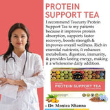 Teacurry Protein Support Green Tea - Minty Blend of Moringa & Spirulina for Active Health - Pyramid Bags