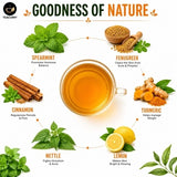 Teacurry She Balance Green Tea with Spearmint, Nettle & Turmeric - Hormone & Period Balance Blend - Pyramid Tea Bags