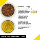 Teacurry South African Rooibos Infusion - Naturally Sweet and Caffeine-Free - Pyramid Bags