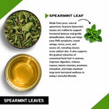 Teacurry Spearmint Infusion for Hormonal, Digestive & Skin Balance - Pyramid Bags