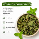 Teacurry Spearmint Infusion for Hormonal, Digestive & Skin Balance - Pyramid Bags