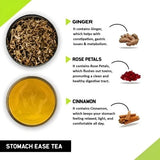 Teacurry Stomach Ease Green Tea - Refreshing Digestive Blend with Ginger, Fennel & Spearmint - Pyramid Tea Bags
