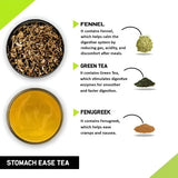 Teacurry Stomach Ease Green Tea - Refreshing Digestive Blend with Ginger, Fennel & Spearmint - Pyramid Tea Bags