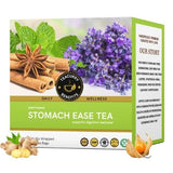 Teacurry Stomach Ease Green Tea - Refreshing Digestive Blend with Ginger, Fennel & Spearmint - Pyramid Tea Bags