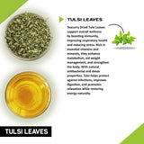 Teacurry Tulsi Infusion - For Stress Relief & Healthy Sugar Balance - Pyramid Bags