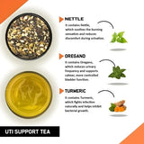 Teacurry UTI Support Herbal Infusion with Nettle & Shatavari - Pyramid Bags