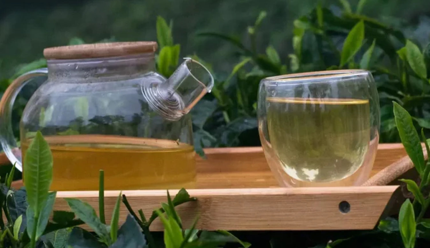Tearaja Premium Indian Tea