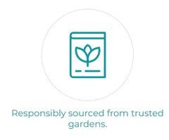 Certification Image 2