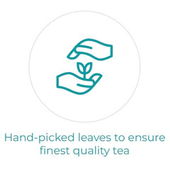 Certification Image 3